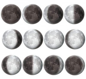 moon-in_phases.jpg